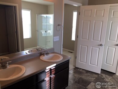 6723 Grainery Rd, Timnath, CO 80547 - photo 4