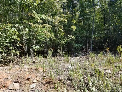 1464 Badin Lake Dr, New London, NC 28127 - photo 2