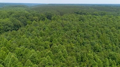 0 Mayfield Divide Rd, Centerville, TN 37033 - photo 7