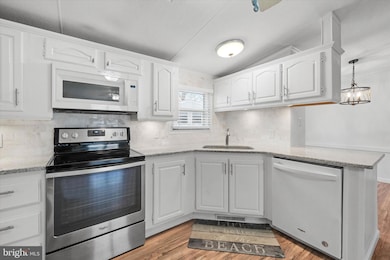 33409 Hartford Ct, Lewes, DE 19958 - photo 6