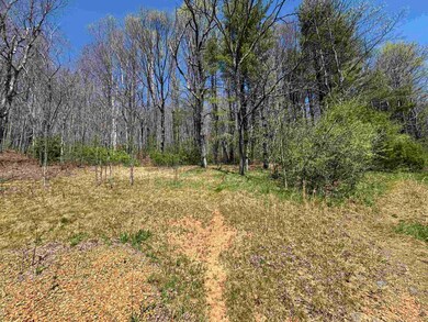 0 Cherry Creek Rd unit 423795, Meadows of Dan, VA 24120 - photo 4