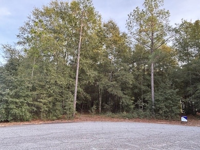 Lot 33 Marie Ln, Bainbridge, GA 39817 - photo 2
