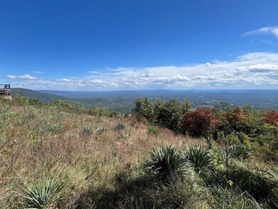 TBD Panorama Dr, Fancy Gap, VA 24328 - photo 6