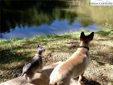 100's of Goldfish to watch at the pond!