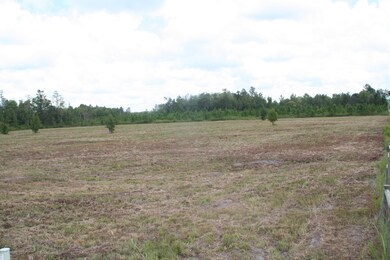 0 Wildlife Way unit 847156, Callahan, FL 32011 - photo 3