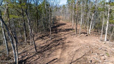 0 Wolfenbarger Tract 1 unit 1294792, Luttrell, TN 37779 - photo 5