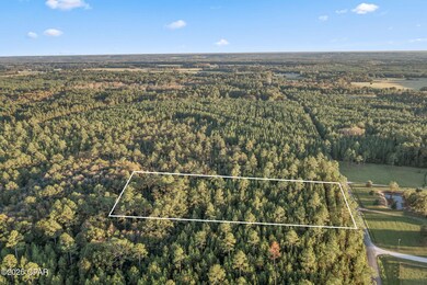 XXX Parrish Still Rd, Vernon, FL 32462 - photo 6