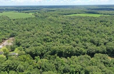 6880 Hall Rd, Coolidge, GA 31738 - photo 6