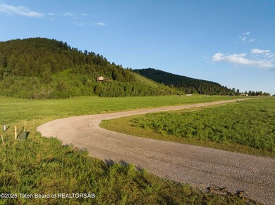 Web - Elk Flats-9