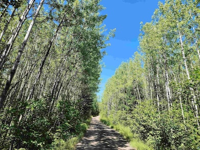 XX Black Granite Tr, Hovland, MN 55606 - photo 3