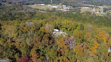 739 Barnes Mill Rd, Hamilton, GA 31811 - photo 5