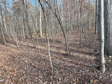 Lot 39 Hummingbird Way, Newport, TN 37821 - photo 3