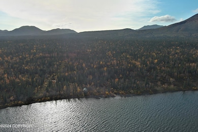 L2B4 Black Bear Rd, Aleknagik, AK 99555 - photo 7