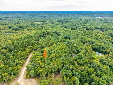 11-web-or-mls-DJI_0551 (2)