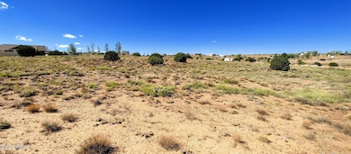 1190 Haystack Rd unit Lot 68, Taylor, AZ 85939 - photo 5