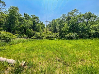 0 Dolezal Rd, Dillonvale, OH 43943 - photo 4