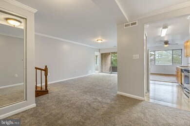 406 Girard St unit 301, Gaithersburg, MD 20877 - photo 6