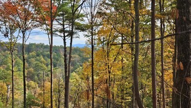 Lot 157 Roaring Forks Ln, Ellijay, GA 30540 - photo 3