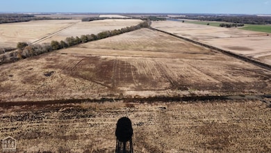 1262 Main St, Knobel, AR 72435 - photo 3