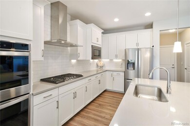 plenty of cabinet space, (pull out shelves), full sink, double ovens
