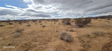 0 Handley Rd unit OC25004576, Landers, CA 92285 - photo 4