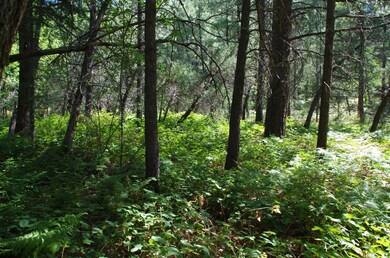 535 N Rim Trail