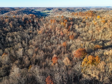 0 Williams Hollow Rd, Crown City, OH 45623 - photo 4