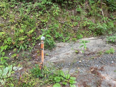 10 Wetherbee Rd, Lyman, NH 03585 - photo 3