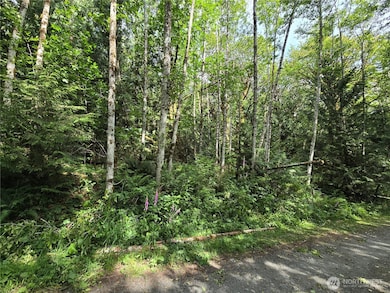 0 XXX N Triton Heights Rd, Lilliwaup, WA 98555 - photo 2