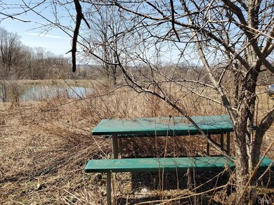 Drive up to pond and walk up beyond picnic table t