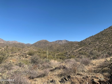 11+ Acres of Desert Living