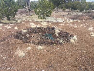 361 Robles, Ash Fork, AZ 86320 - photo 5