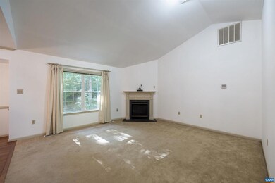 313 Carodon Dr, Ruckersville, VA 22968 - photo 6