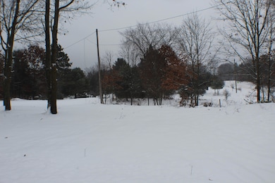 17790 Monroe Rd, Morley, MI 49336 - photo 2