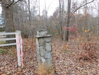 5 (P9) Brights Rd, Gretna, VA 24557 - photo 5