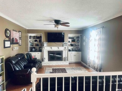 801 S Cottonwood St, Virginia, IL 62691 - photo 6