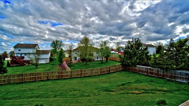 Backyard (2)