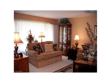 Living room with Neutral Beige Carpet