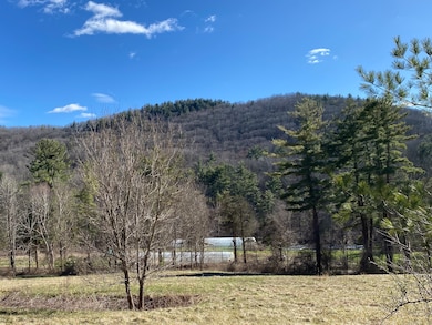 198-4 Beebe Hill Rd, Canaan, CT 06031 - photo 2