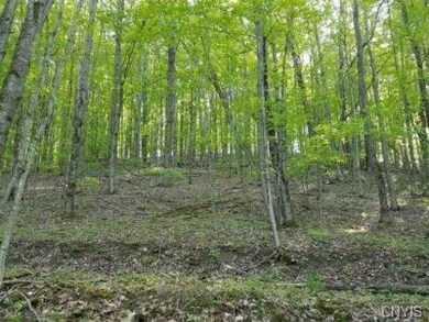 00 State Route 417, Greenwood, NY 14839 - photo 7