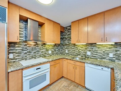 50 Park St unit 26, Brookline, MA 02446 - photo 3