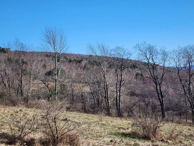 Woods
