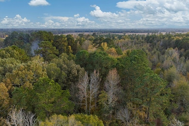tbd Buck Sherrod Rd, Marshall, TX 75672 - photo 2