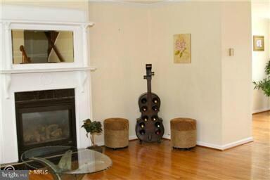 1904 Linden Ave, Baltimore, MD 21217 - photo 5