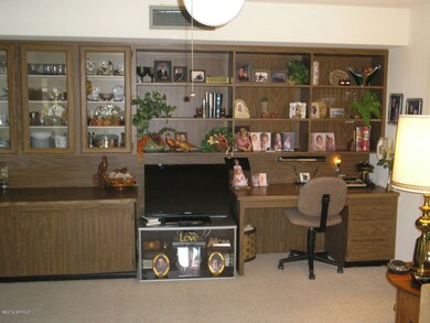 Built In Shelves in Family Room