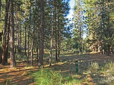 19373 Soda Springs Dr, Bend, OR 97702 - photo 3