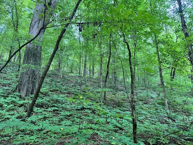 180.14 Johnson Mill Rd, Hamilton, GA 31811 - photo 4