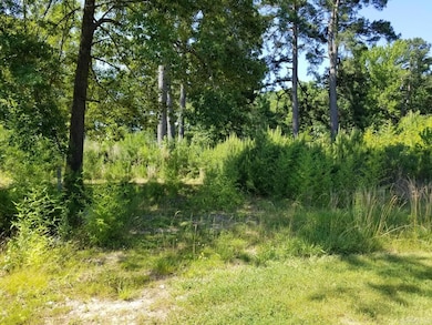 7120 Alcoa Rd, Bryant, AR 72015 - photo 6