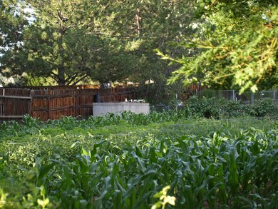 July242009CARA 029 (1)