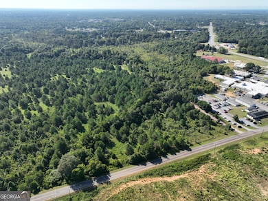 0 Industrial Blvd unit 10655857, Hawkinsville, GA 31036 - photo 2